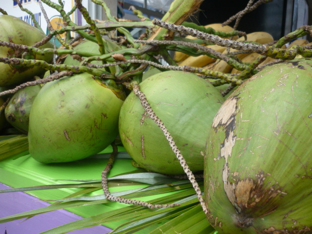 coconuts